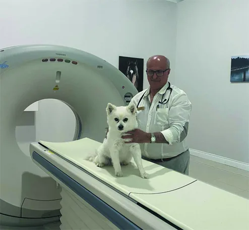 Veterinary team caring for a pet at Dr. Kafai Veterinary Hospital