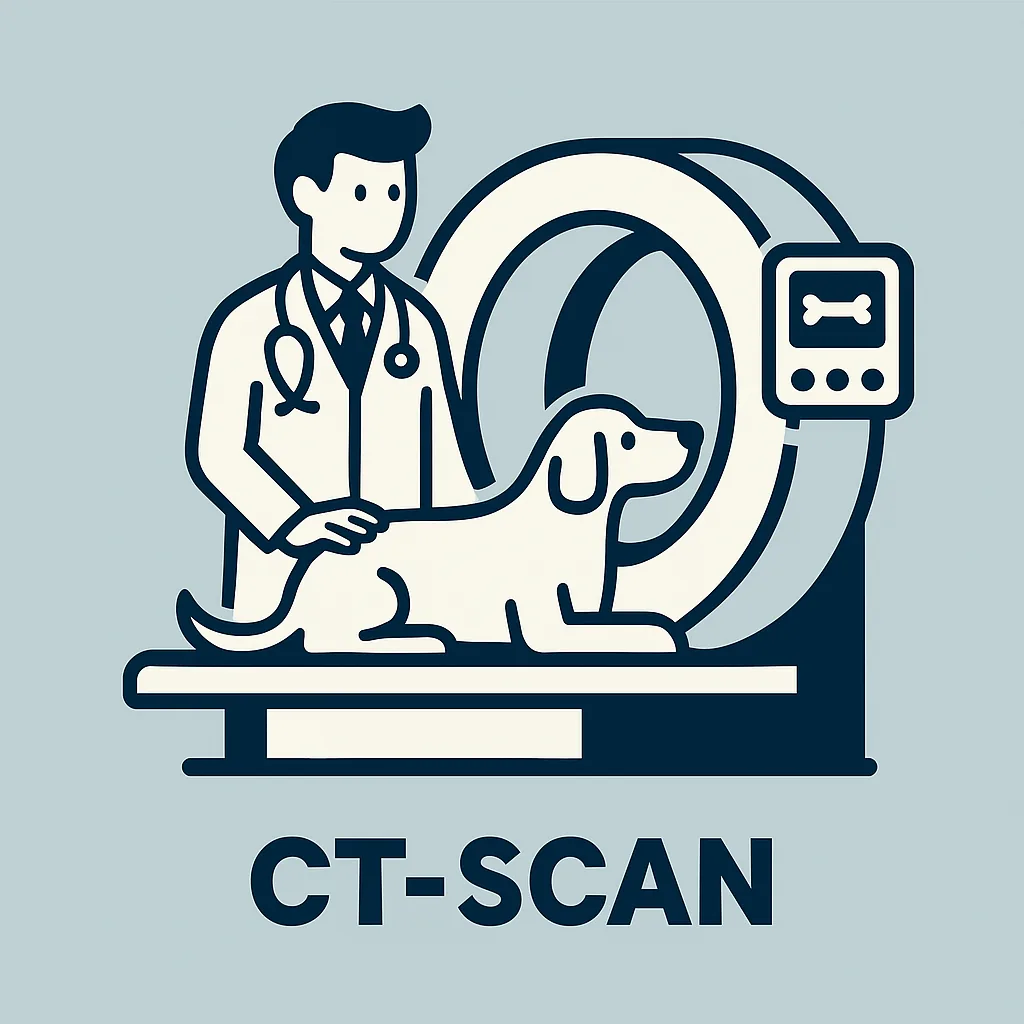 Ct scan service at Dr. Kafai Veterinary Hospital