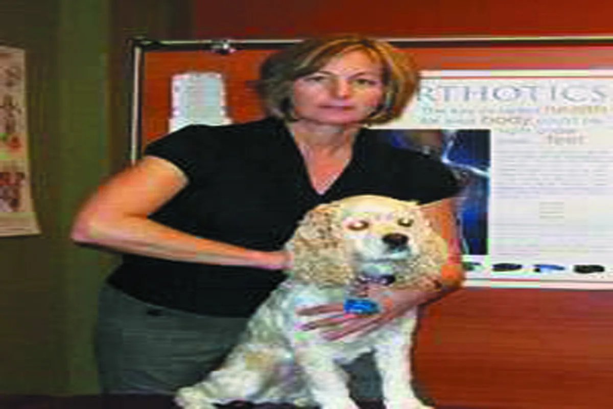 Dr. Judith Snider, Certified Animal Chiropractor at Dr. Kafai Veterinary Hospital